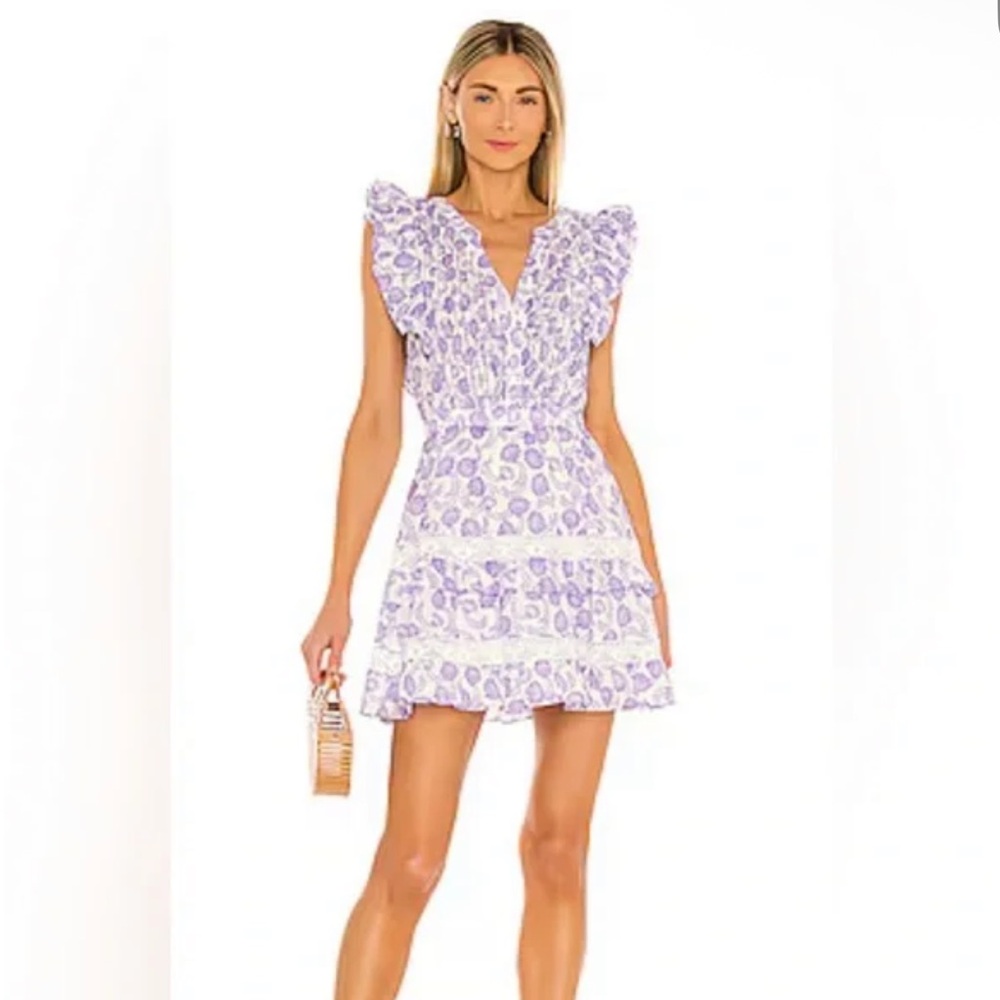 BB Dakota Steve Madden Mariposa Mini Dress